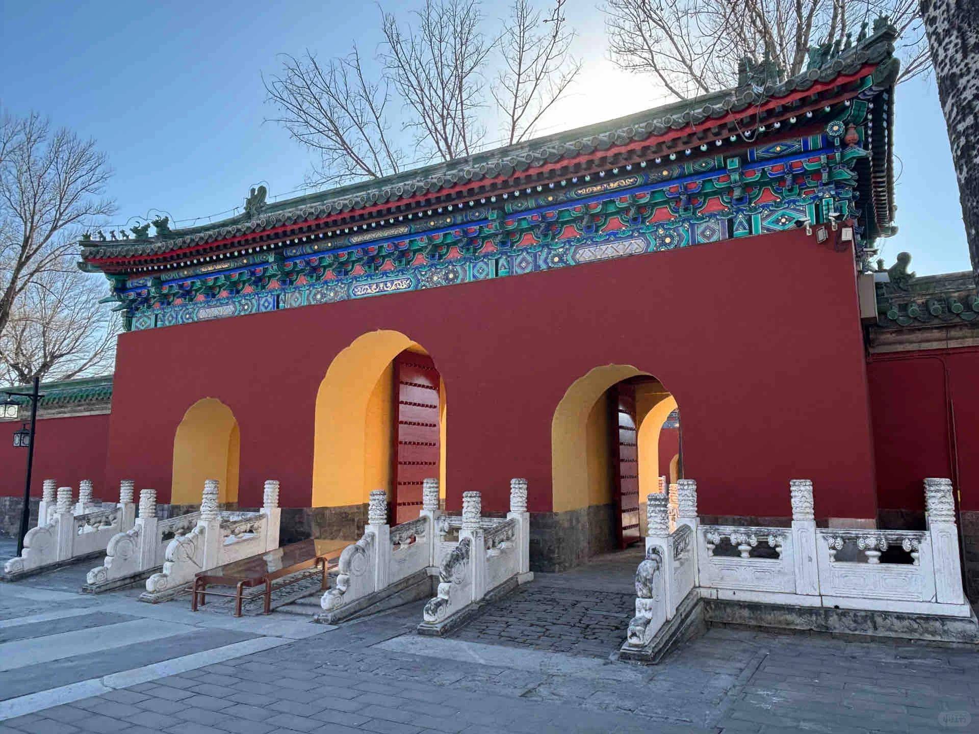 ！旅行保姆与遛娃宝藏旅行社大揭秘开元ky棋牌本地人私藏定制游攻略(图3)