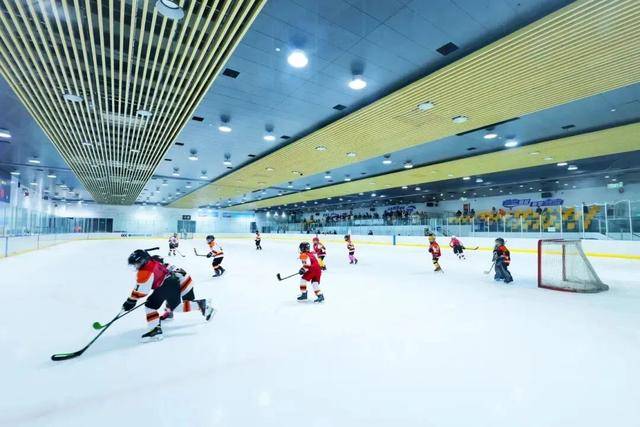 园超全游玩指南房车音乐节、XR展等一站搞定开元棋牌app国庆宝藏打卡地！TOP中央公(图4)