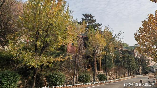 藏着东部首家高端旅游度假区养心安心开元棋牌app泰安：城东有一个村落(图6)