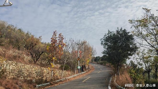 藏着东部首家高端旅游度假区养心安心开元棋牌app泰安：城东有一个村落(图5)