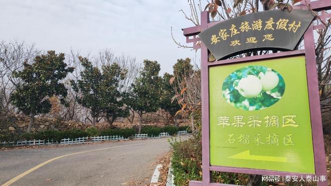 藏着东部首家高端旅游度假区养心安心开元棋牌app泰安：城东有一个村落(图8)