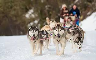 光你想都没想过的夏天！开元ky棋牌滑雪看极(图3)