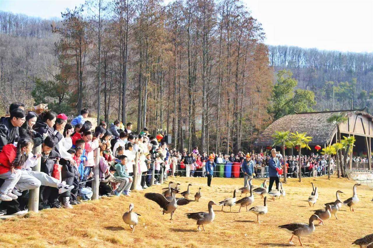 拉动“滑雪游”！湖北文旅元旦假期喜迎开门红开元棋牌“观光型”转向“沉浸式”“消费券”(图3)